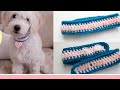 Collar para Perros y Gatos a Crochet 🐶🐱| Todas las tallas / Enredados entre Hilos