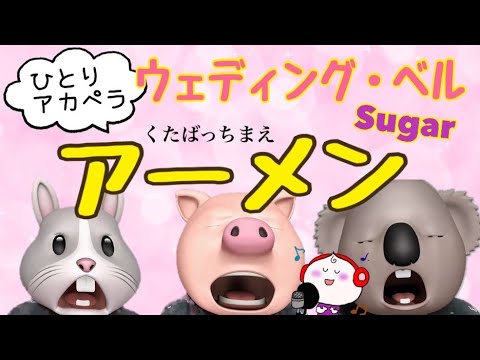くたばっちまえ アーメン！1981年 SUGAR「ウェディング・ベル」おうちでひとりアカペラ♪🐷🐨🐰