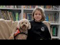 Meet Tashi, the miniature poodle helping children gain the confidence to read aloud