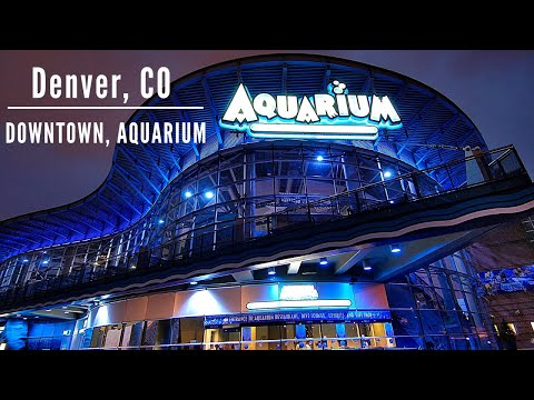 Video: Downtown Aquarium u Denveru, Colorado