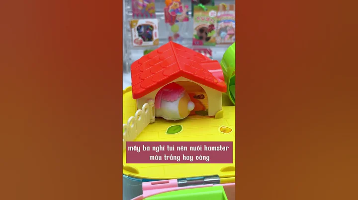 Đồ Chơi Nuôi Hamster Mini #shorts