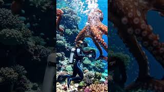 Fight with a Giant Octopus