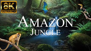 Amazon Jungle 8K ULTRA HD | Wild Animals of Amazon Rainforest | Relaxation Film