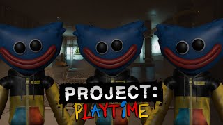 Project: Playtime Ticket Bug!