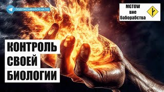 Закрыть половые потребности и сохранить себя  - совместный подкаст с Nomad (канал Individualist)