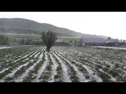 ნინოწმინდის სოფლები დაისეტყვა