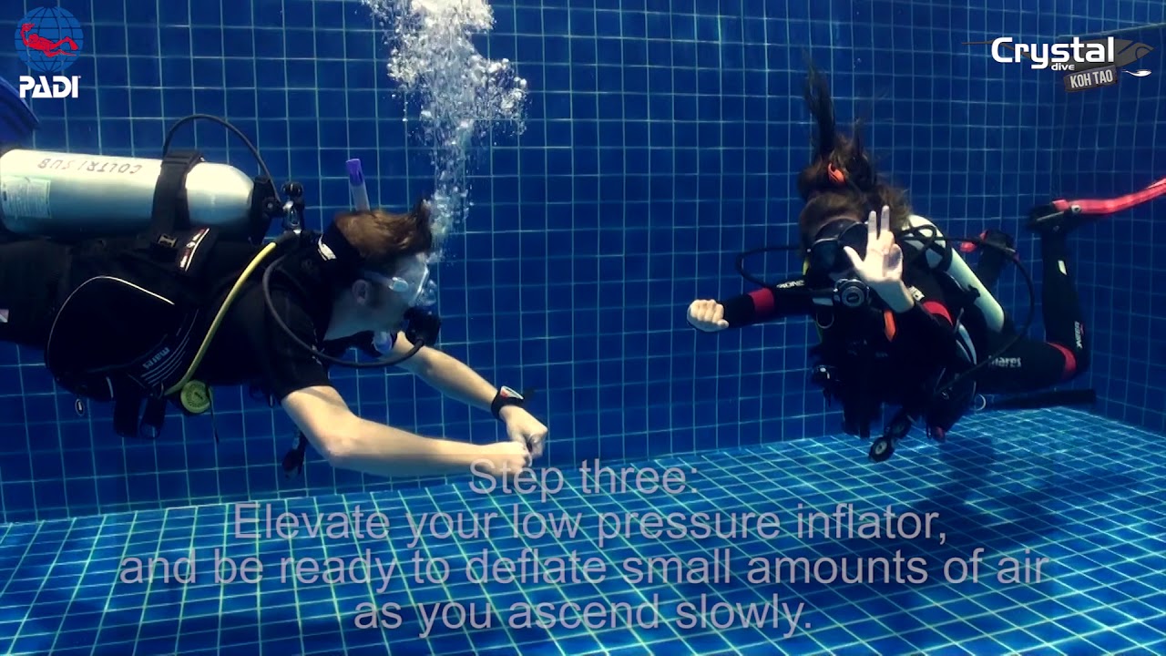 How to Do the Five Point Ascent without Bottom Contact 🥽 PADI IDC Dive