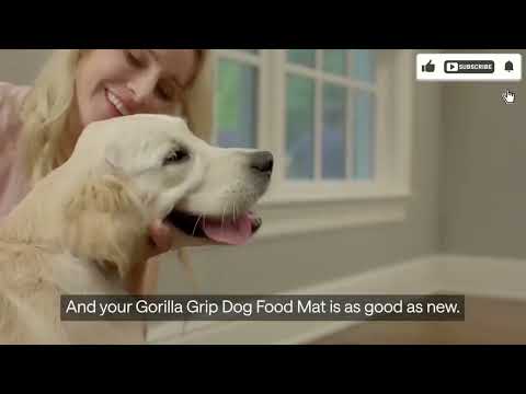 Featured image for the guide to 10 CLEVER Amazon Products For Your Pets! by Paw Approved