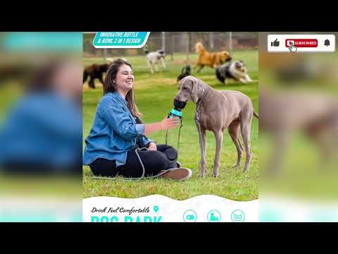 A still from the video 10 CLEVER Amazon Products For Your Pets! by Paw Approved