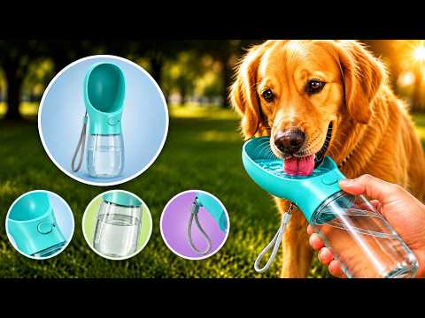 10 CLEVER Amazon Products For Your Pets!