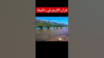 سورة.الزمر.سعود.الشريم #المصحف #اكسبلور #quran #nature #flowers #duet #لايك #ترند احترم.القران.دق.