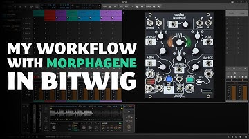 Sound Design ideas with Sampler inspired by Morphagene in Bitwig