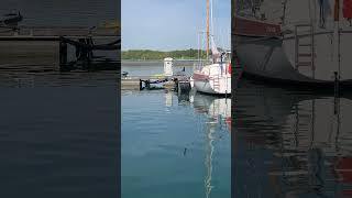 Le bateau croisière (balade commentée sur le Lac de la Forêt d'Orient) en manoeuvre dans le port