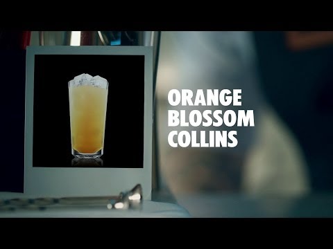 orange-blossom-collins-drink-recipe---how-to-mix