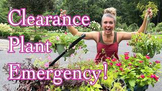 I Bought TOO MANY Clearance Plantsโฆ Now I Have to Save Them!