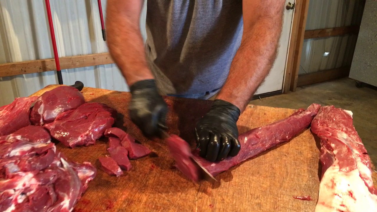 Image result for venison butchering