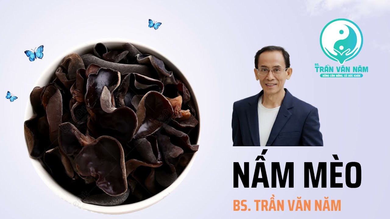 Nấm Mèo Phòng bệnh Tim Mạch, Tai Biến Như thế nào? | Bs. Trần Văn Năm