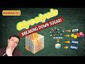 GLYCOLYSIS | Bioenergetic