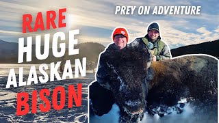 ONCE IN A LIFETIME HUNT: THE ALASKAN BISON