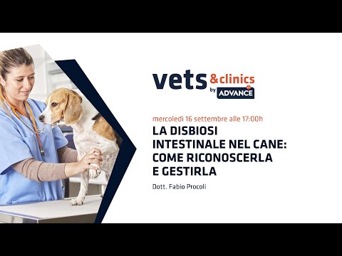 Video: Disturbo Intestinale (perdita Di Motilità) Nei Cani