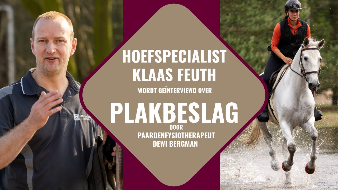 Dé Expert over Plakbeslag en Gelijmde Hoefijzers | Klaas Feuth geïnterviewd door Dewi Bergman