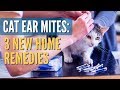 Cat Ear Mites: 3 New Remedies