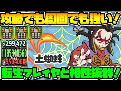 パズドラ 固定 追い打ち リーダー