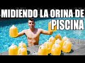 Cómo Medir la Cantidad de PIPÍ que Hay en la Piscina