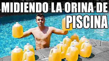 ¿Qué porcentaje de adultos orina en piscinas?