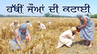 ਹੱਥੀਂ ਜੌਆਂ ਦੀ ਕਟਾਈ ( Harvesting the crop in traditional way) organic Farming - Tapoban Dhakki Sahib