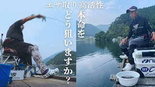 雷雨接近・・・リミット内に本命を仕留めよ!!ヤマザップ【fishing vibes】