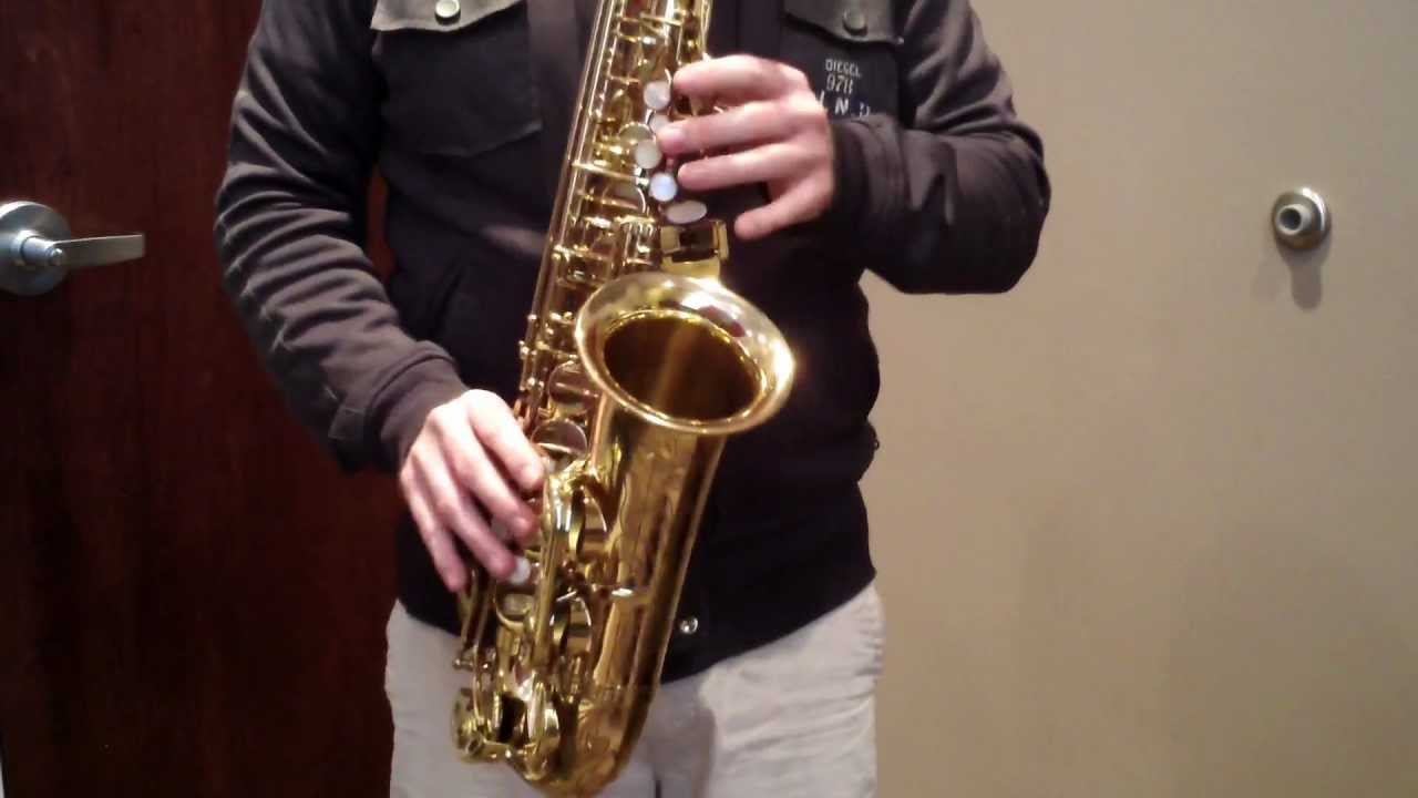 Selmer Paris Super Action 80 Serie II Alto Saxophone