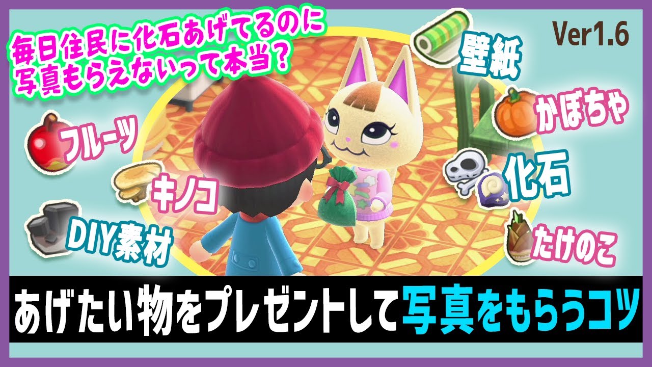 【時間操作なしで確実に貰える】化石・フルーツ・かぼちゃをプレゼントして写真をもらうコツ/アプデで変更？毎日住民に化石プレゼントしてるのに写真もらえないって本当？検証してみた【あつ森】