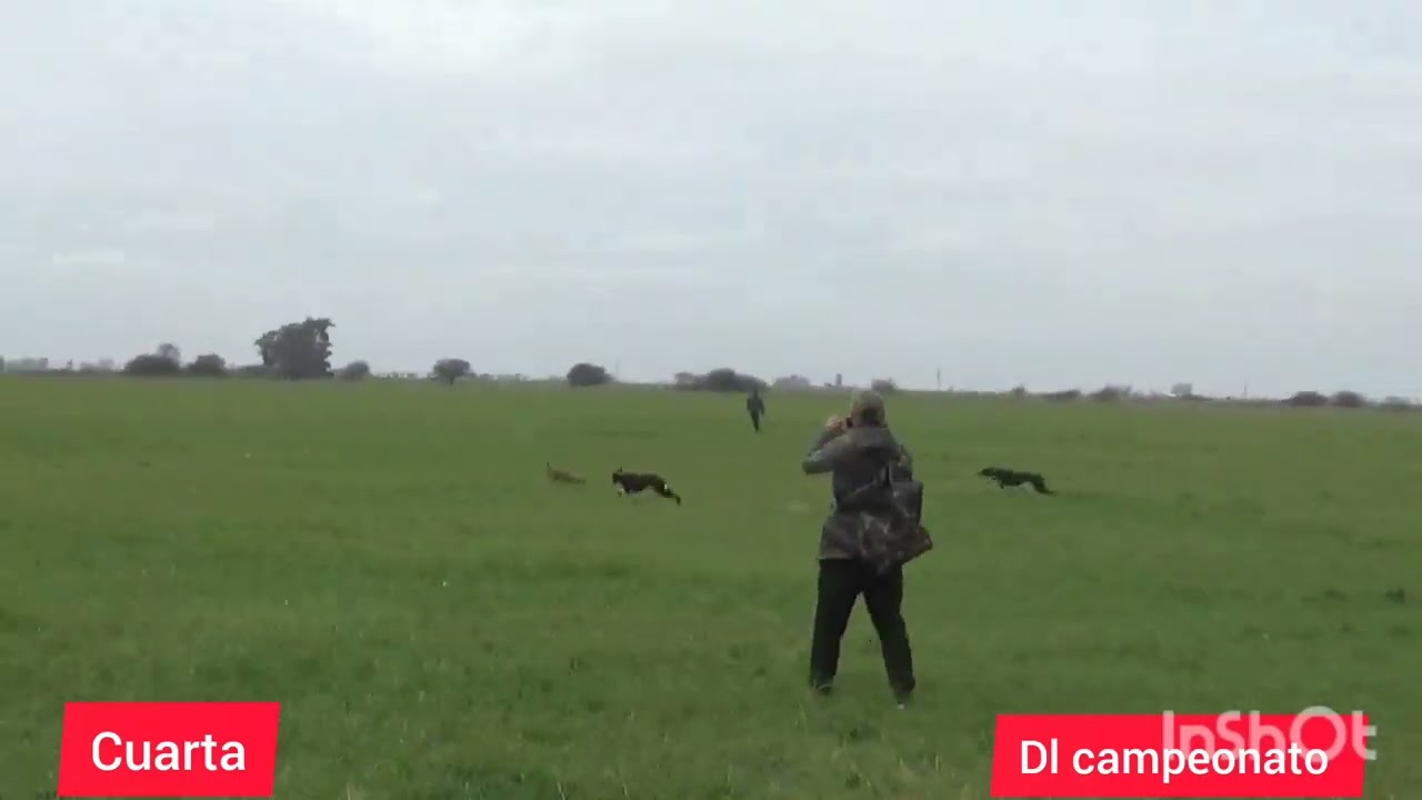 Una linda topada hoy 16 d agosto en los pagos d Córdoba.  Bandida y timba.  