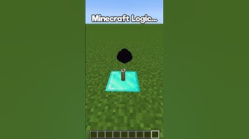 Minecraft Ender DRAGON Egg Logic 😮