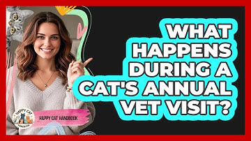 What Happens During A Cat