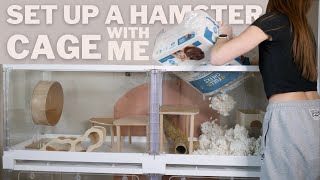 Set up a Hamster cage With Me! by Victoria Raechel 67,138 views 5 months ago 4 minutes, 20 seconds
