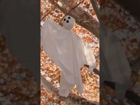 Spooky Film Photos