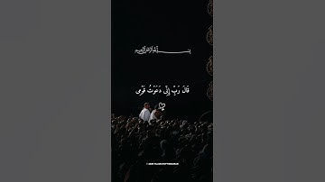 🎧💫 أجمل ما ستسمع بصوت الشيخ ماهر المعيقلي | تلاوة خاشعة تريح القلب وتشرح الصدر 🤍✨ #ماهر_المعيقلي