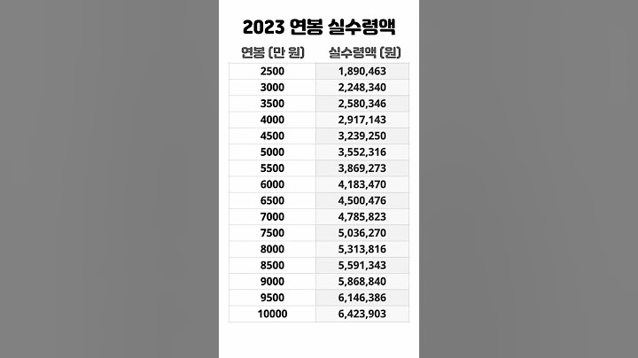 2023년 연봉 실수령액