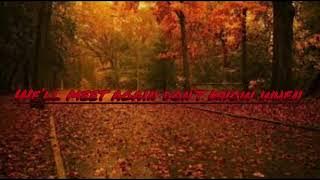 We’ll meet again (Lofi version)