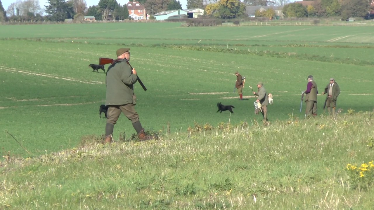 Pheasant and Partridge shooting Dorset ''The Other Village Shoot'' YouTube