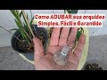 Dicas Dona Maria - Como ADUBAR suas orquídeas - Simples, Fácil e Garantido