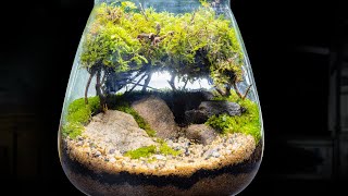 Tiny Moss Tree Themed Terrarium