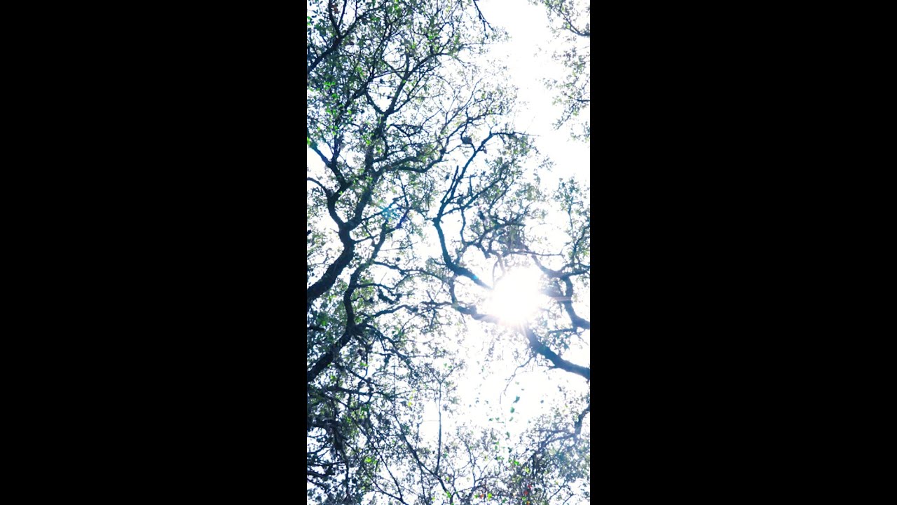 Walk with us on April 2, 2025