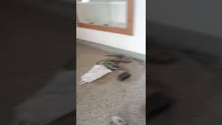 tiles work for mosaic floor(3)