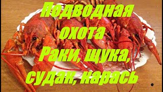 Подводная охота в Макеевке. Раки, щука, судак, карась. Подводная съемка