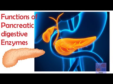 Video: Pancreatin-LekT - Tablečių Vartojimo Instrukcijos, Apžvalgos, Kaina