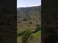 نورت حسن چمکنی 1 نورت حسن چمکنی 1