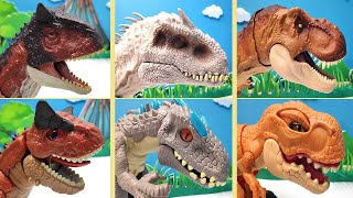 5 Type Dinosaurus - Tyrannosaurus Rex, Carnotaurus, Indominus! Real Dino, Lego Dino, Jurassic World